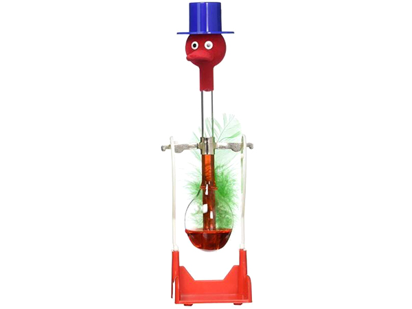 magic drinking bird